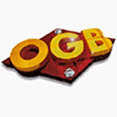O.G.B. S.r.l. Logo