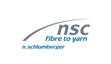 N. Schlumberger Logo