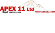 Apex 11 Ltd. Logo